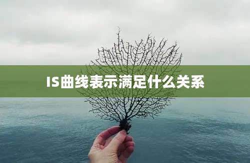 IS曲线表示满足什么关系