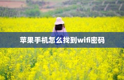 苹果手机怎么找到wifi密码