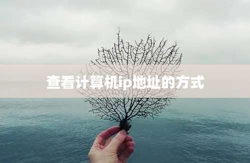 查看计算机ip地址的方式