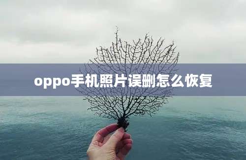 oppo手机照片误删怎么恢复