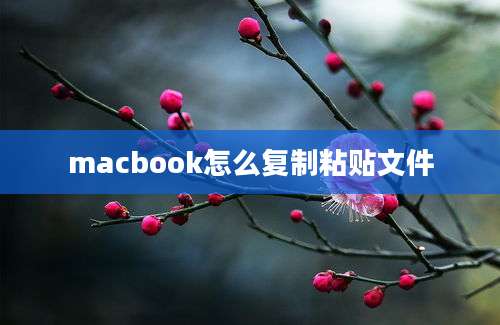 macbook怎么复制粘贴文件