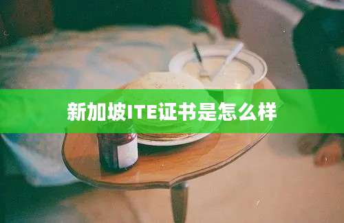 新加坡ITE证书是怎么样