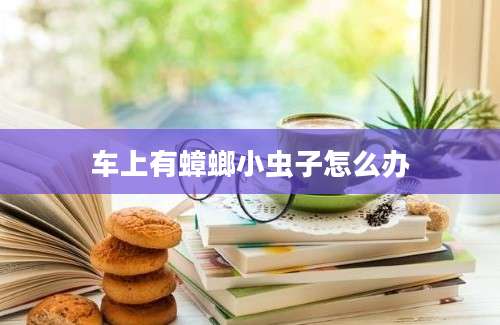 车上有蟑螂小虫子怎么办