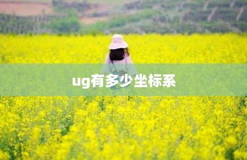 ug有多少坐标系