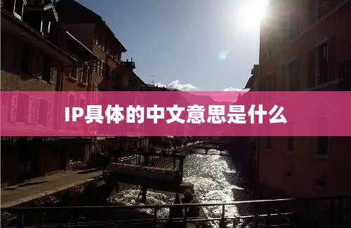 IP具体的中文意思是什么