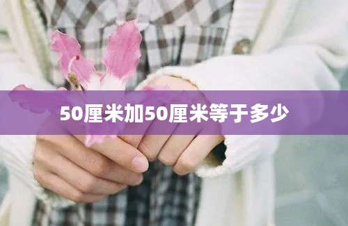 50厘米加50厘米等于多少