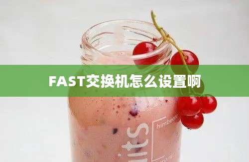 FAST交换机怎么设置啊