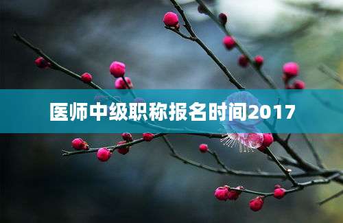 医师中级职称报名时间2017