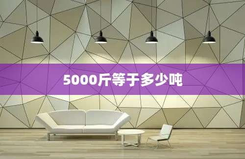 5000斤等于多少吨