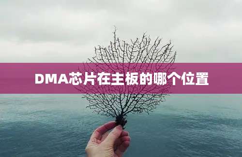 DMA芯片在主板的哪个位置