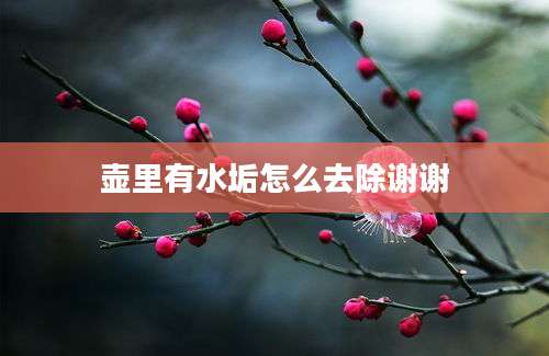 壶里有水垢怎么去除谢谢