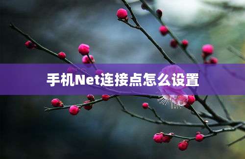 手机Net连接点怎么设置