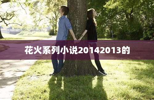 花火系列小说20142013的