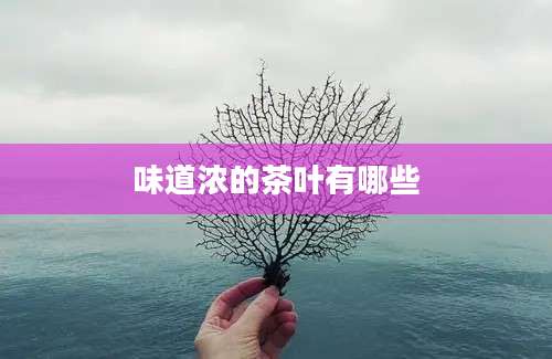 味道浓的茶叶有哪些