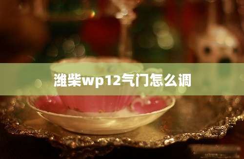 潍柴wp12气门怎么调