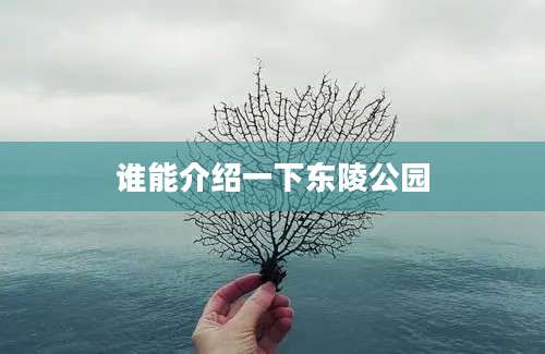 谁能介绍一下东陵公园