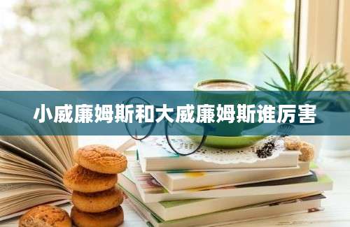 小威廉姆斯和大威廉姆斯谁厉害