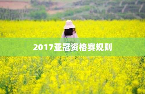 2017亚冠资格赛规则