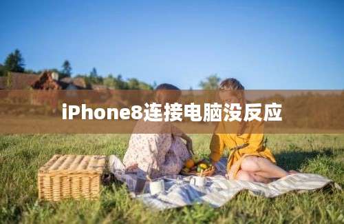 iPhone8连接电脑没反应