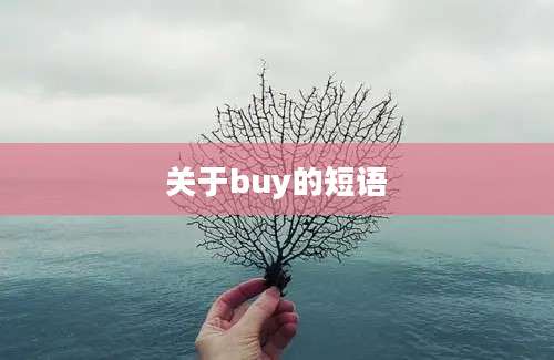 关于buy的短语