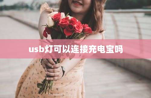 usb灯可以连接充电宝吗