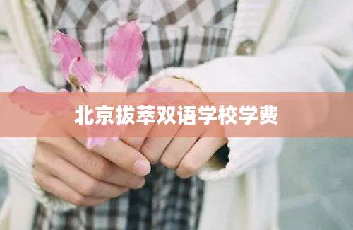 北京拔萃双语学校学费