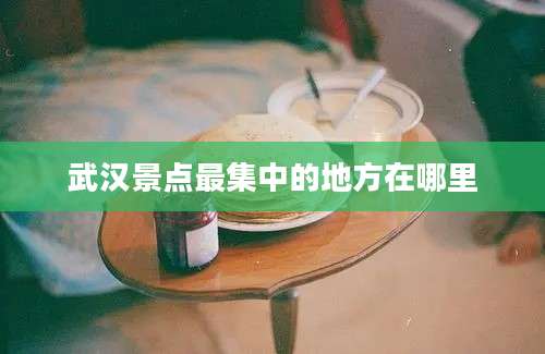 武汉景点最集中的地方在哪里