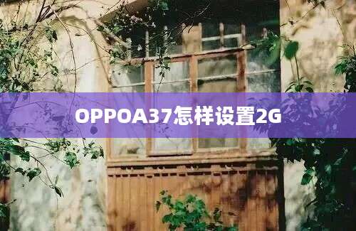 OPPOA37怎样设置2G