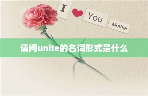 请问unite的名词形式是什么