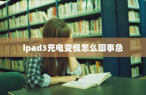 ipad3充电变慢怎么回事急