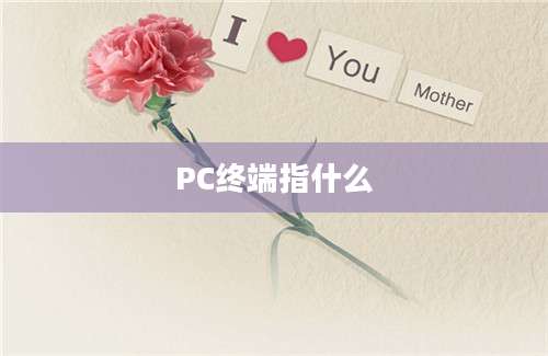 PC终端指什么