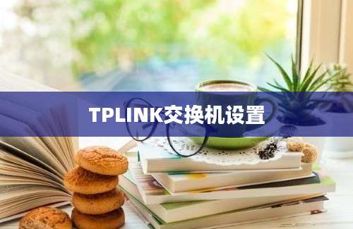 TPLINK交换机设置