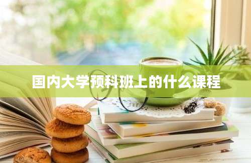 国内大学预科班上的什么课程