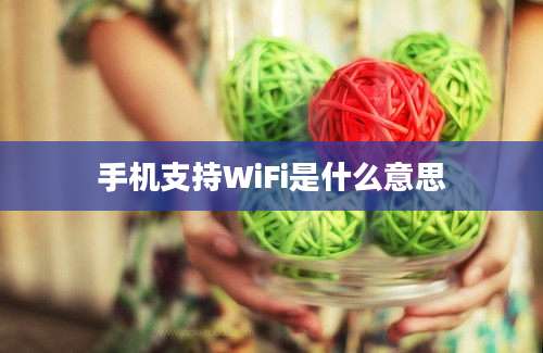 手机支持WiFi是什么意思