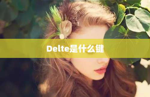 Delte是什么键