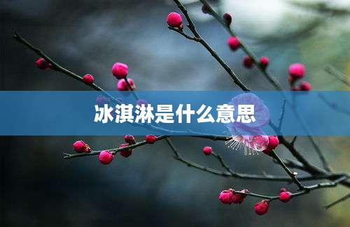 冰淇淋是什么意思