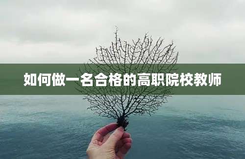 如何做一名合格的高职院校教师