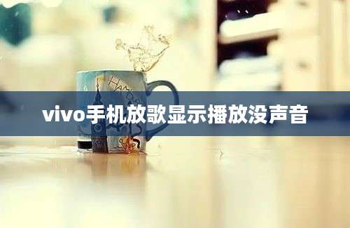 vivo手机放歌显示播放没声音