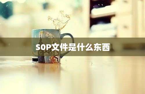 S0P文件是什么东西