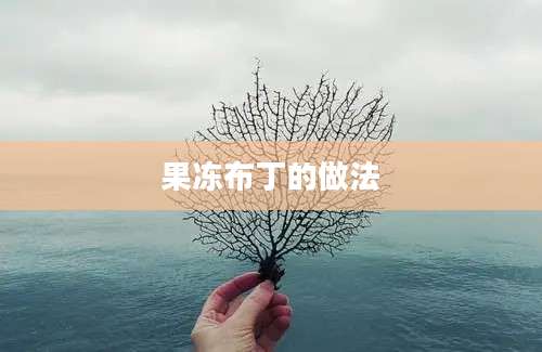 果冻布丁的做法