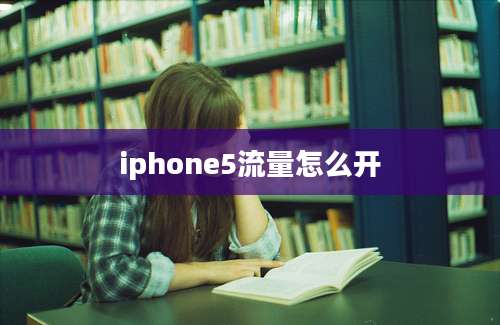 iphone5流量怎么开