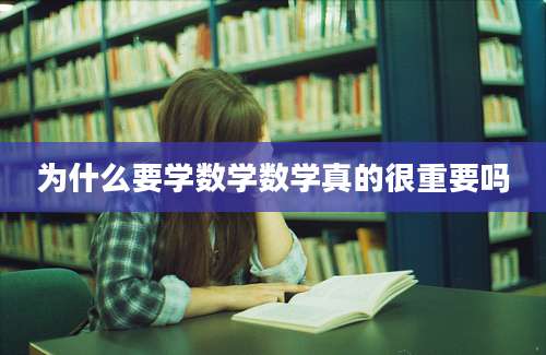 为什么要学数学数学真的很重要吗