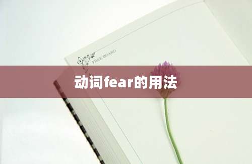 动词fear的用法