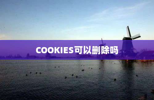 COOKIES可以删除吗