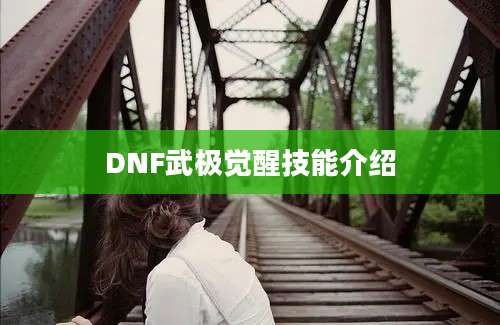 DNF武极觉醒技能介绍