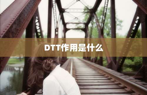 DTT作用是什么