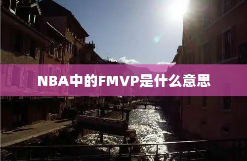 NBA中的FMVP是什么意思