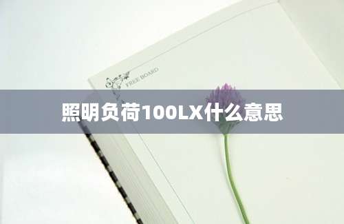 照明负荷100LX什么意思