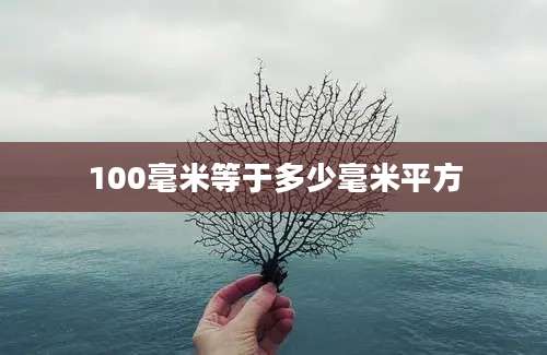 100毫米等于多少毫米平方