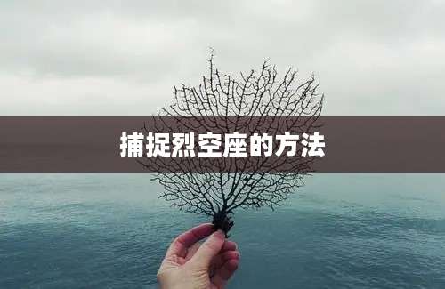 捕捉烈空座的方法